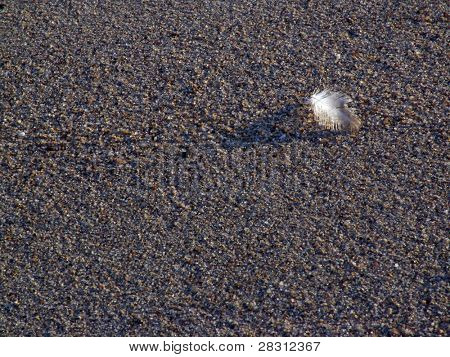 sand