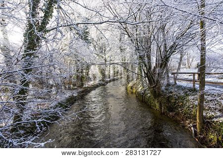 River Wuerm In Munich With Snow Covered Trees