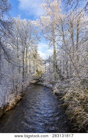 River Wuerm In Munich With Snow Covered Trees