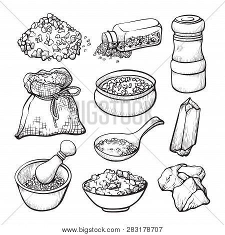 Food Salt Sketch, Natural Seasoning And Cooking Ingredient