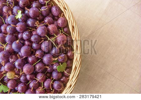 Agrus In A Basket On The Background Of A Linen Tablecloth