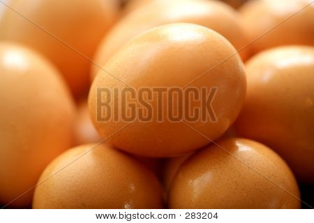 Frische Eier T