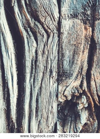 The Structure Of Wooden Fence. Shot From Close View.