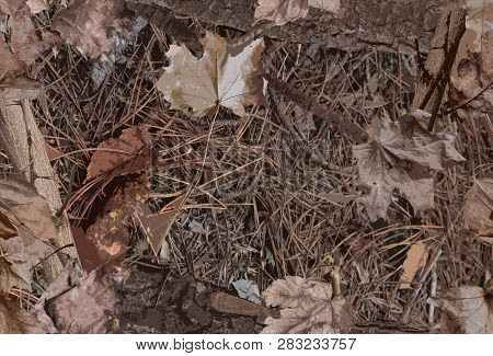 Realistic Autumn Forest Pattern. Trunks Of Trees, Leaves And Grass Camouflage Pattern