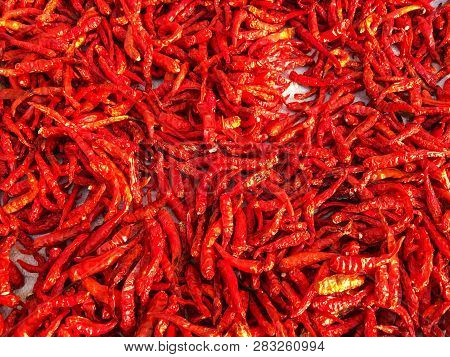 Bright Red Dry Chili Background, Thai Garnish For Hot Spicy Flavors, Hot Spices Of Thailand Food, Dr