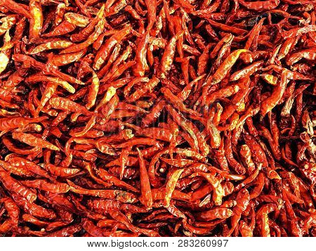 Bright Red Dry Chili Background, Thai Garnish For Hot Spicy Flavors, Hot Spices Of Thailand Food, Dr
