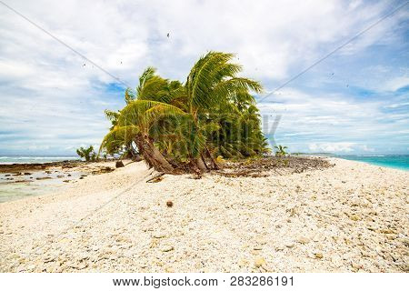 Small Remote Tropical Island Motu Overgrown With Palms In Azure Turquoise Blue Lagoon. Yellow Rock B