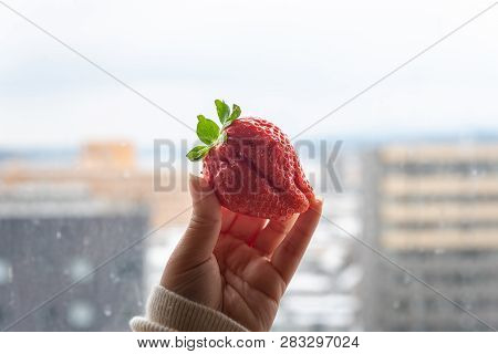 Japan Strawberry In Hand