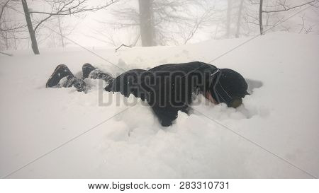 Man Bathing In The Snow Winter In The Forest