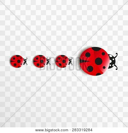 Cute Cartoon Ladybug Family. Good Luck Symbol. Objects Isolated On Transparent Background.