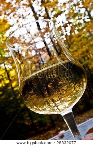 Glas Wein
