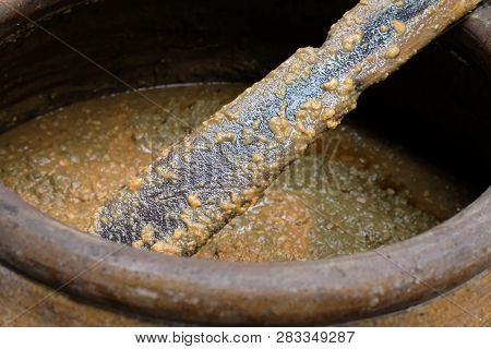 Salted Soybean Paste In Jar. Soy Miso Production