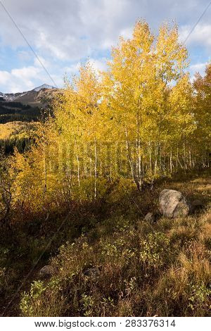 Early Morning Autumn Colors At Lost Lake Slough With East Beckwith Peak, Colorado.