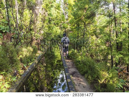 Footpath Along Lavada - Water Irrigation Canals Covered By Moss And Lush Vegetation On Hiking Trail 