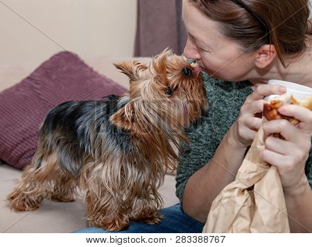 Dog Playing With A Woman