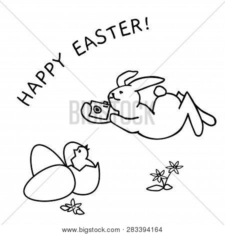 Vector Funny Bunny With Camera And Bird