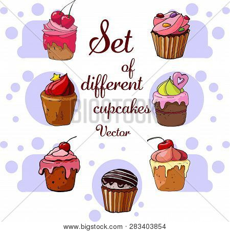 Set Of Cupcakes For Design And Decoration Isolated On White Background. Vectorial.