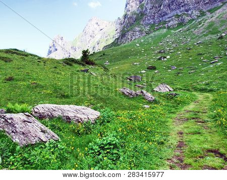Alpine Pastures And Meadows On The Slopes Of Alvier Peak In The Appenzell Alps Mountain Range - Cant