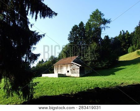Alpine Livestock Farms And Stables On The Slopes Of Alvier Mountain In The Appenzell Alps Mountain R