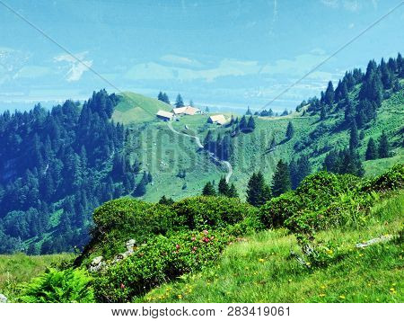 Alpine Livestock Farms And Stables On The Slopes Of Alvier Mountain In The Appenzell Alps Mountain R