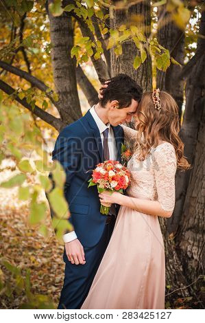 Bride And Groom Hugging In A Forest In The Autumn Forest, Weddin