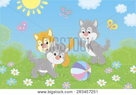 Funny Little Kittens Playing With A Colorful Ball And Butterflies On Green Grass Among Flowers On A 