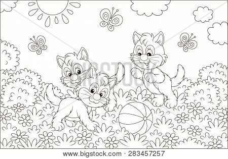 Funny Little Kittens Playing With A Ball And Butterflies On Grass Among Flowers On A Sunny Day, Blac