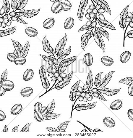 Seamless Pattern With Coffee Tree Branches With Leaves And Beans. Coffee Grains In Graphic Style Han