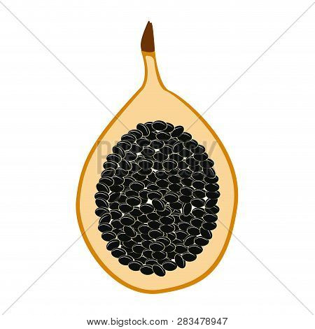 Isolated Cut Pasion Fruit Image, Vector Illustration Design