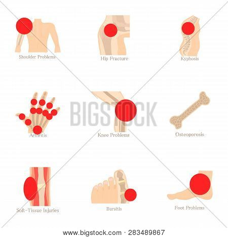 Anatomical Knowledge Icons Set. Cartoon Set Of 9 Anatomical Knowledge Icons For Web Isolated On Whit