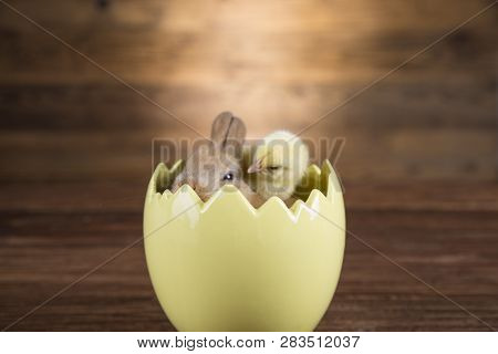 Easter Rabbit In The Shell Of Eggs. Colorful Eggs.