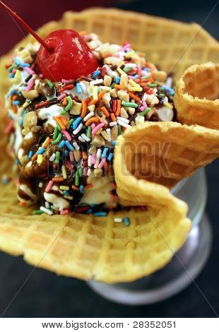 waffle ice cream sundae
