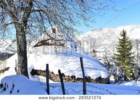 Piornedo, Ancares, Lugo Province, Galicia, Spain. Ancient palloza house made with stone and straw with spruce and snowy slope. Blue sky, sunny day.