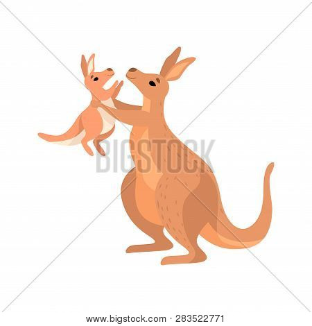 Brown Kangaroo Holding Her Little Baby, Cute Wallaby Australian Animal Character Vector Illustration