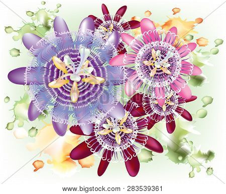 499_mix_passiflora