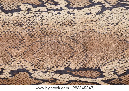 Snake Skin Background, Close Up, Beige And Brown Texture