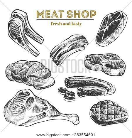Hand Sketched Meat Products Isolated On White Background. Vector Of Steak Meat, Pork And Beef Natura