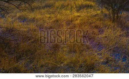 Sunrise On Boren Hill Near Bilina Town In Winter Frosty Color Morning With Pine Tree