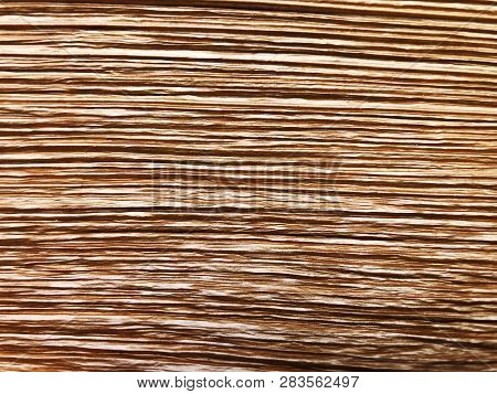 The Structure Of Piece Of Wood. Shot From Close View.