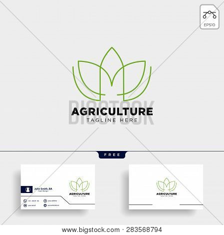 Letter M And Leaf Aco Logo Template Vector Illustration Icon Element