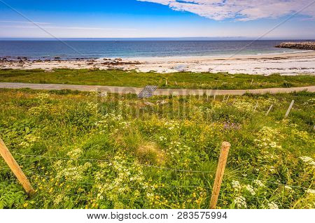 Seascape, Sea Coast With Sandy Beach Breakwater And Meadow Flowers In Resort Bleik Andoya Norway. Ve