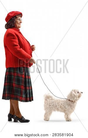 Full length profile shot of a mature lady walking a maltese poodle dog isolated on white background