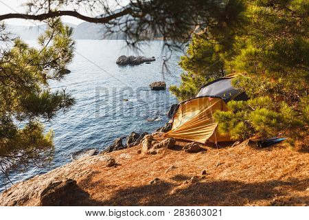 Tent By The Sea In Junipers At A Height Above Sea Level