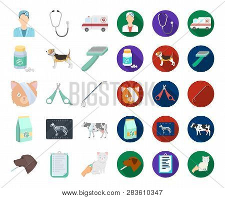 Veterinary Clinic Cartoon, Flat Icons In Set Collection For Design. Treatment Of A Pet Vector Symbol