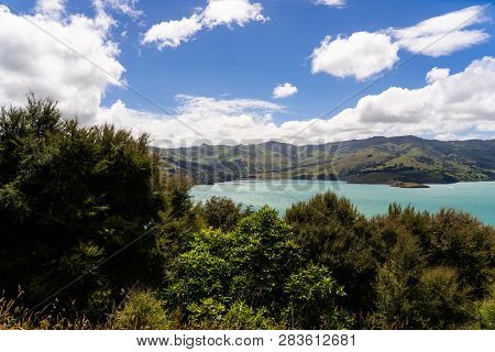 View From The Onawe Track In New Zealand, Amazing Ocean Bay In Akaroa New Zealand, Onawe Walkway Wit