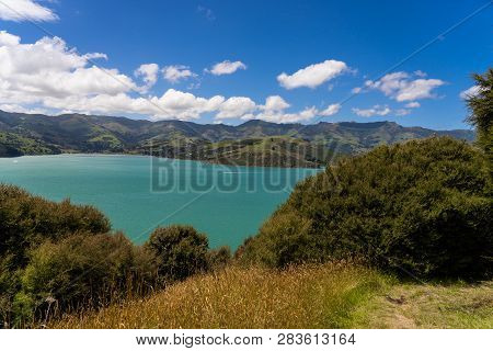 View From The Onawe Track In New Zealand, Amazing Ocean Bay In Akaroa New Zealand, Onawe Walkway Wit