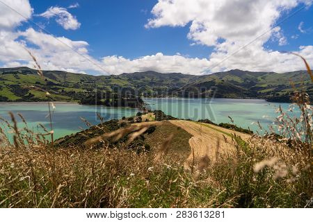 View From The Onawe Track In New Zealand, Amazing Ocean Bay In Akaroa New Zealand, Onawe Walkway Wit
