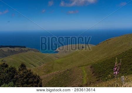 View From The Onawe Track In New Zealand, Amazing Ocean Bay In Akaroa New Zealand, Onawe Walkway Wit
