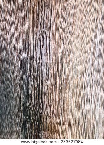 The Structure Of Piece Of Wood. Shot From Close View.