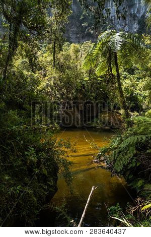 Pororari River Track, Landscape On The Pororari River Track, New Zealand, South Island, Wild New Zea
